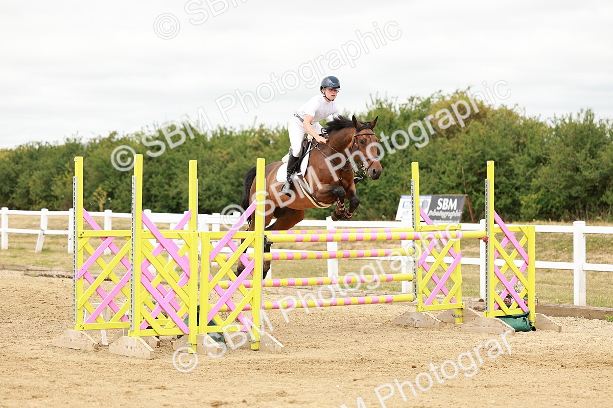 SBM_017737 - Class 21 - Senior Newcomers Championship 2d Rd