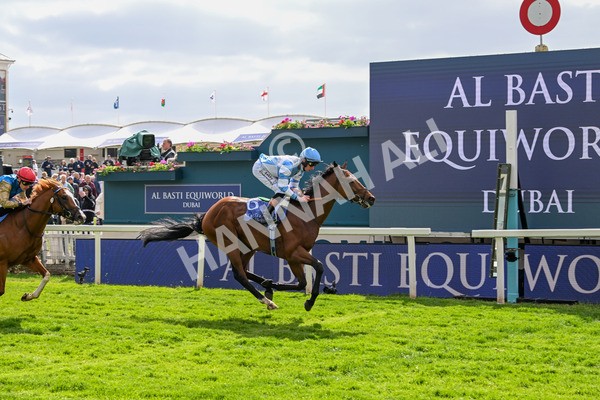150525-Pride Of Arras-4709 - Race 4 3.45pm Al Basti Equiworld Dubai Dante Stakes