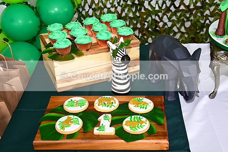 ADN-048 - Aiden's 1st Birthday