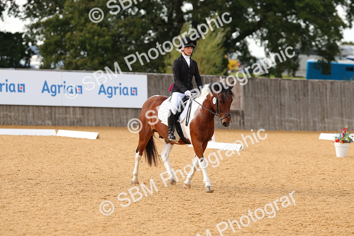 SBM_49703 - D24 - Junior Championship - Prelim 1
