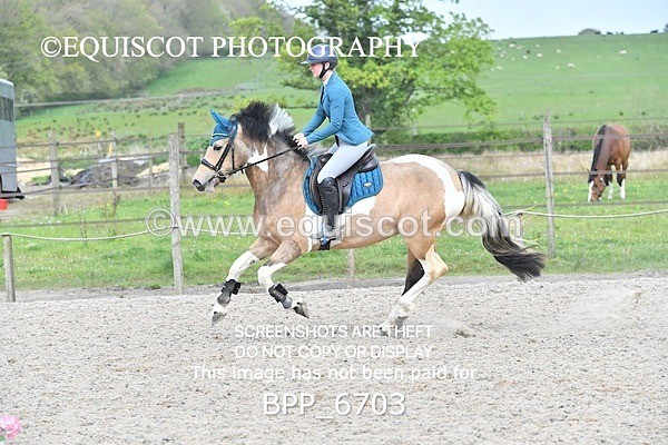 BPP_6703 - CLASS 2 FRI Club/ Unaffiliated 80cms Open