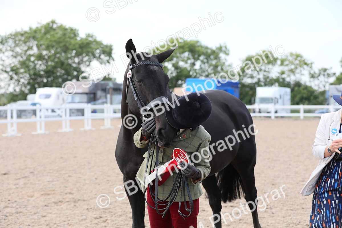 SBM_15851 - Class 312 IH Competition Horse/Pony