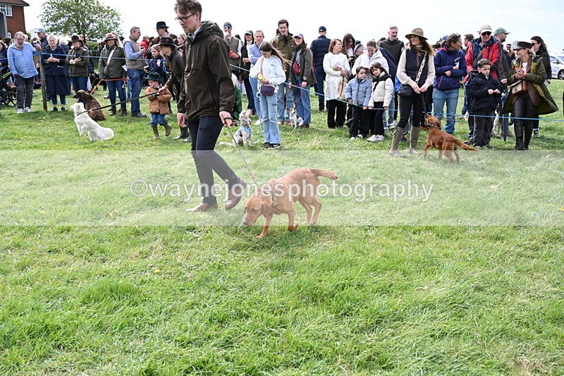 WJ6_8303 - Class 4 Prettiest Bitch