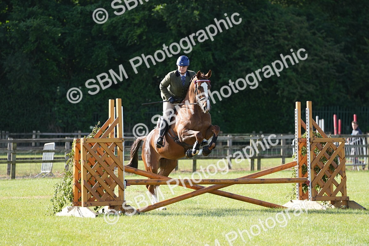 SBM_10504 - Class 97-98 - LIHS BSHA Rising Star Working Show Horse Hunter