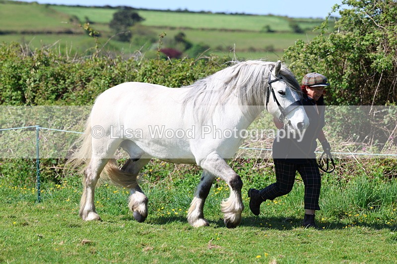 3E7A9337 - Class 16: Best Grass Kept