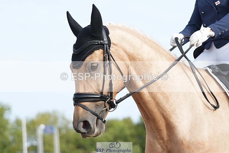 250906-094137-01171 - 025-Carrie.EveGekkos.Gold