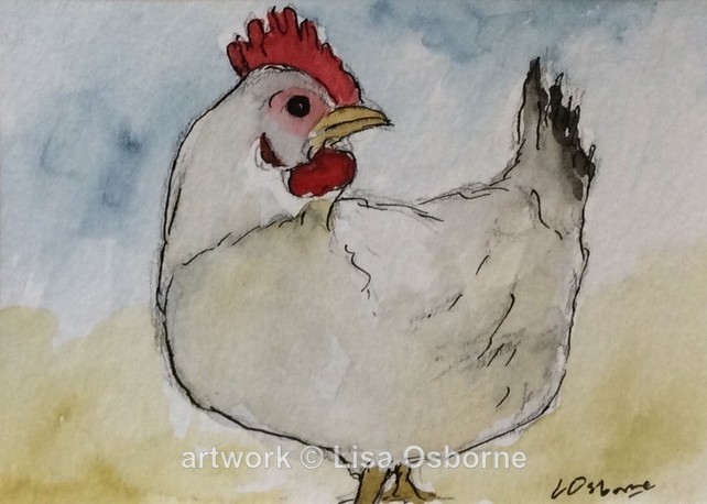 White hen - Animals