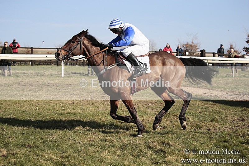 PtP 240218 406 - Vine & Craven Hunt Point-to-Point Barbury racecourse 24/02/18