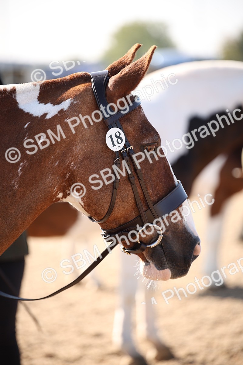 SBM_01534 - Class 15 IH Coloured