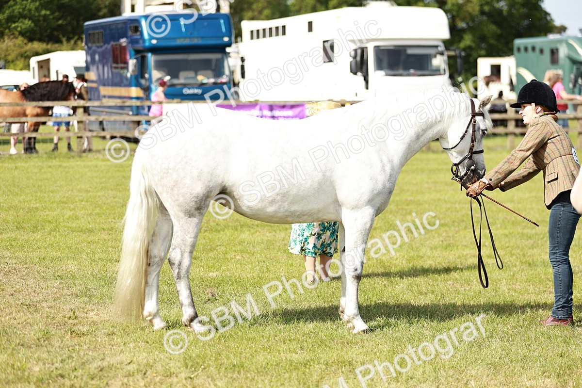 SBM_01636 - Class 14-23 - Mountain & Moorland In Hand Non Welsh