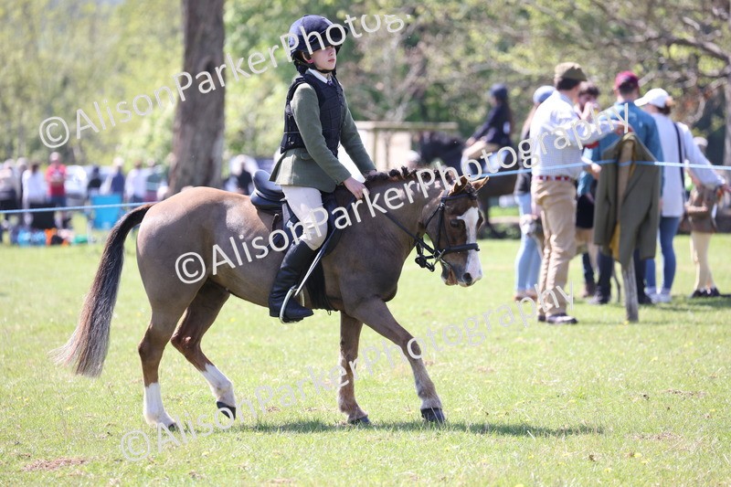 20250427-3293 - Class 33 - Best Pony 14.2hh and Under