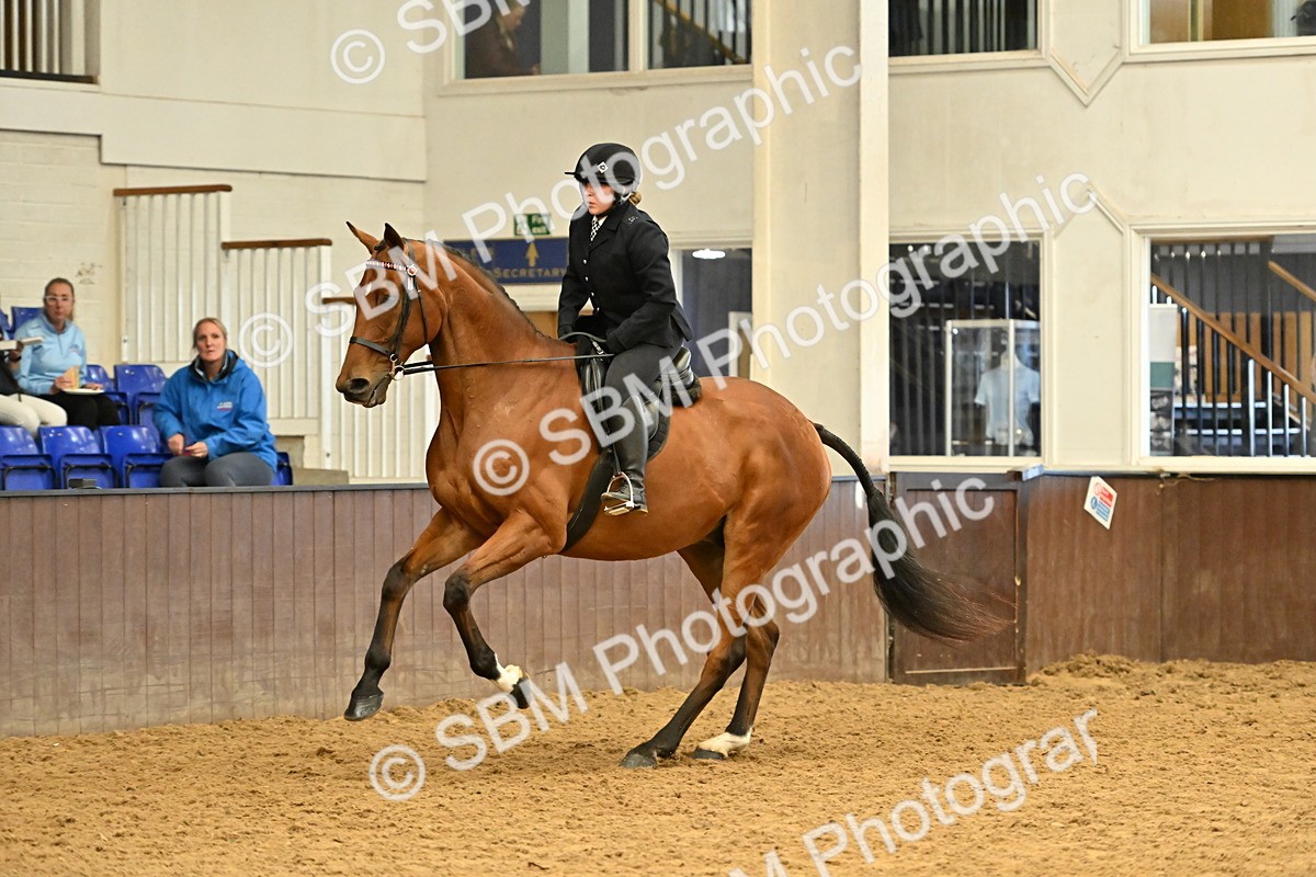 SBM_001995 - Class 24 - BSHA Ridden Racehorse to Show Horse