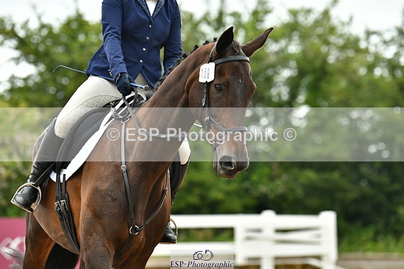 230708A-121245-02742 - Prelim 13