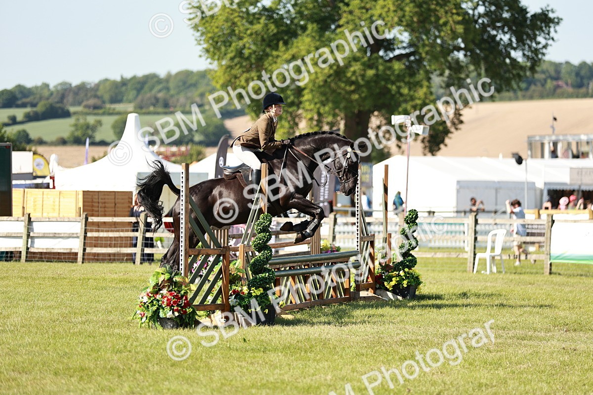 SBM_19151 - Class 115-116 - LIHS BSHA Rising Star Working Hunter & Show Horse