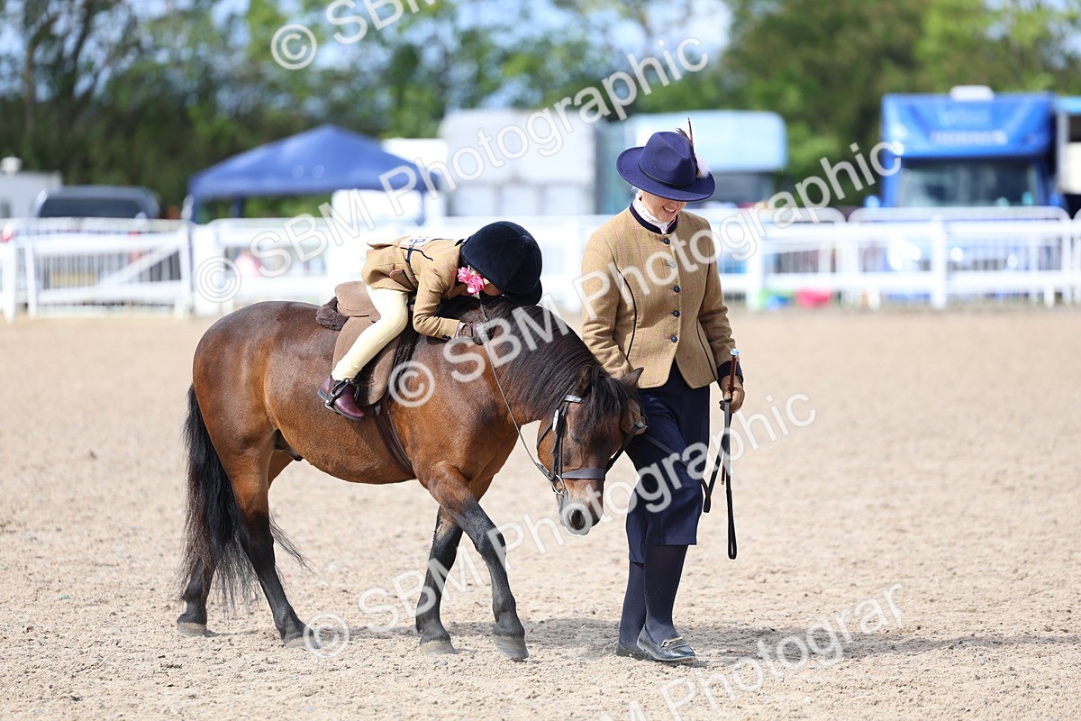 SBM_13081 - Class 309 - Lead Rein Pony