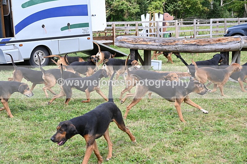 WJ6_3124 - Berks & Bucks - The Old farmhouse - Hound Exercise 20-08-25