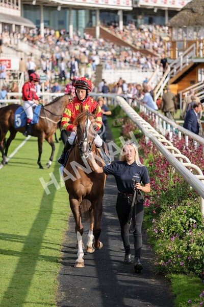 yr23072021r2-11 - Race 2 6.30pm IRE-Incentive It Pays To Buy Irish Stakes