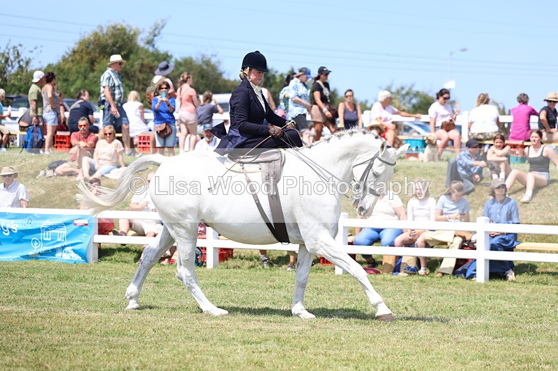 3E7A9768 - Class 13: Side Saddle