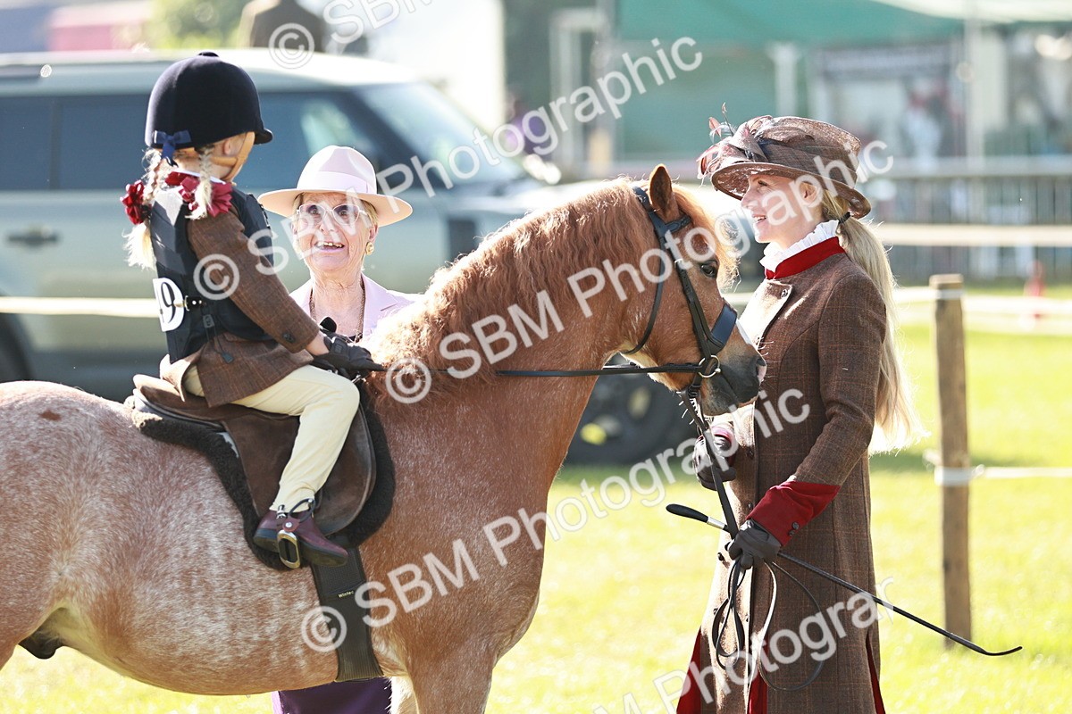 SBM_11190 - Class 106-107 - BSPS LIHS Working Sports Pony