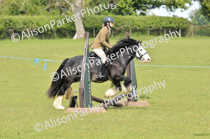 20260426-2286 - Class 20 - Beginner Working Hunter