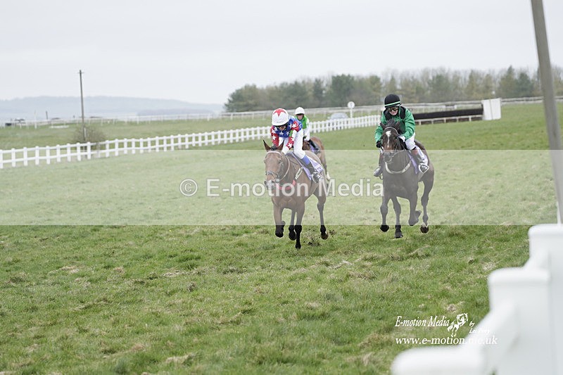PtP 260323 1108 - New Forest Hounds Point-to-Point Larkhill 26/03/23