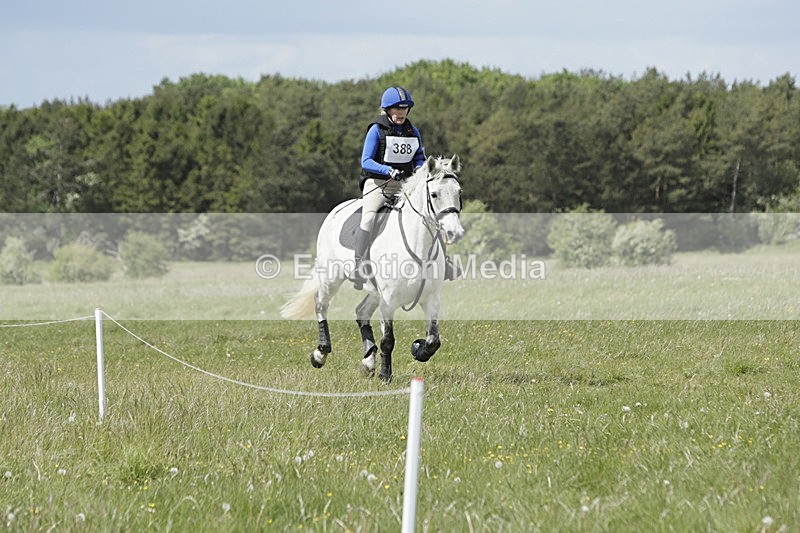 BVHT 140517  NXC -507 - Class 2 XC Novice 14/05/17