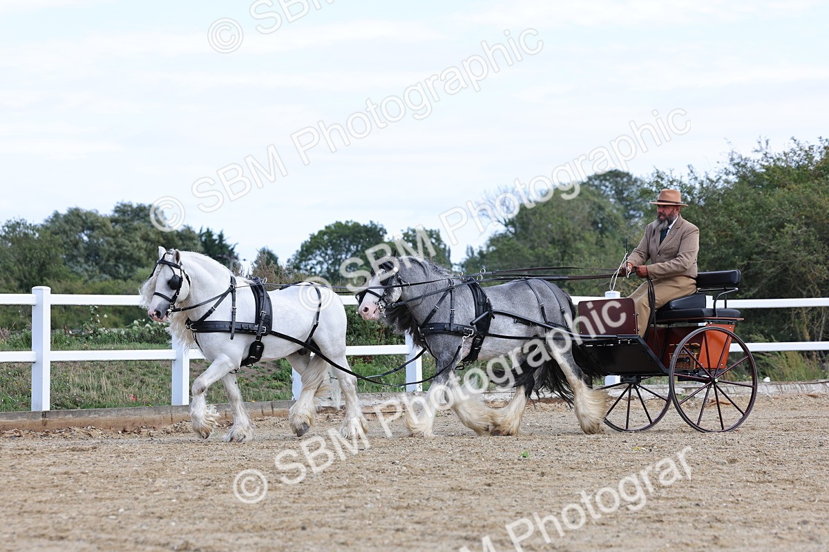SBM_001185 - Class 16 - Pairs ,Multiples and Tandems