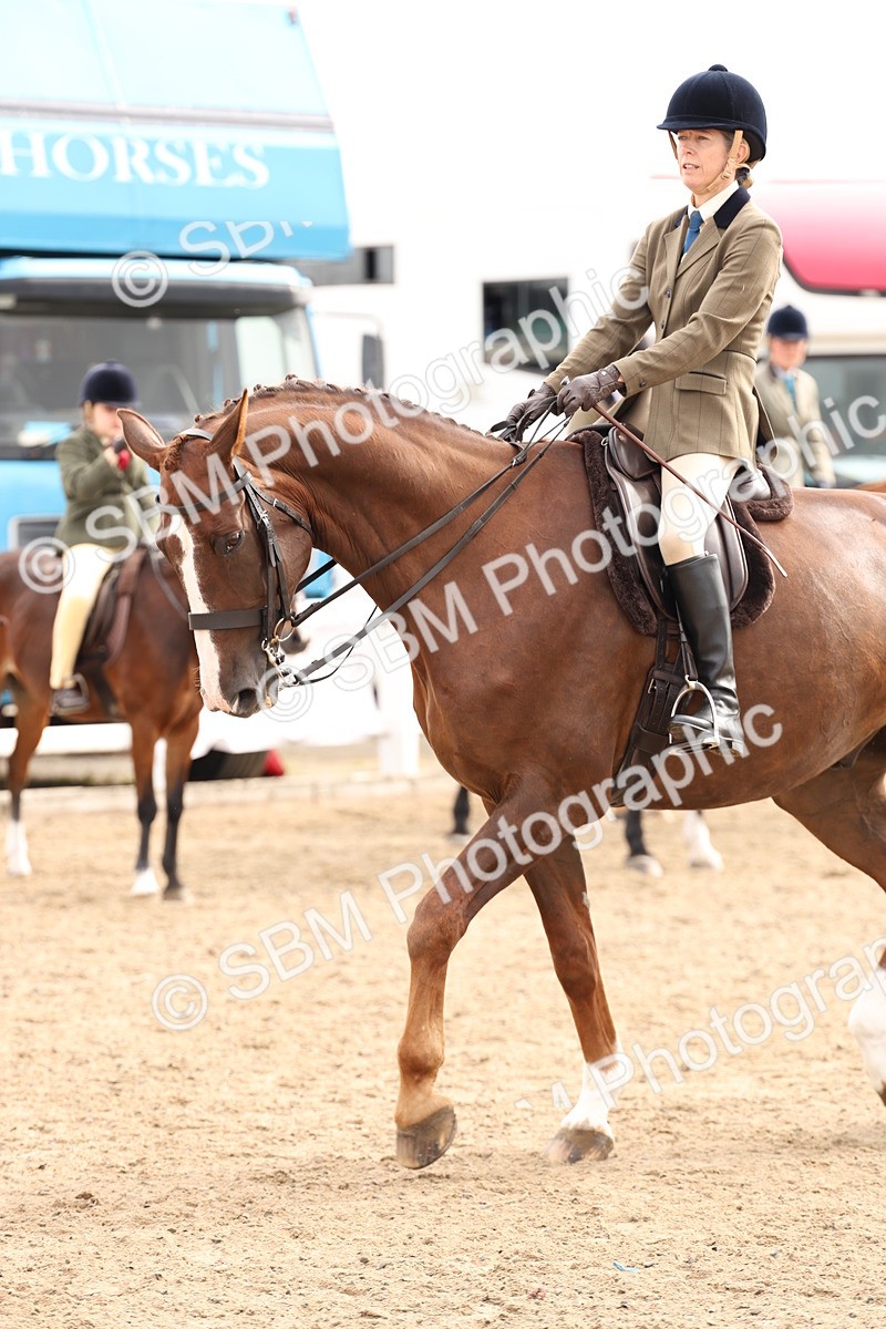 SBM_02842 - Class 53 - Ridden Competition Horse/Pony