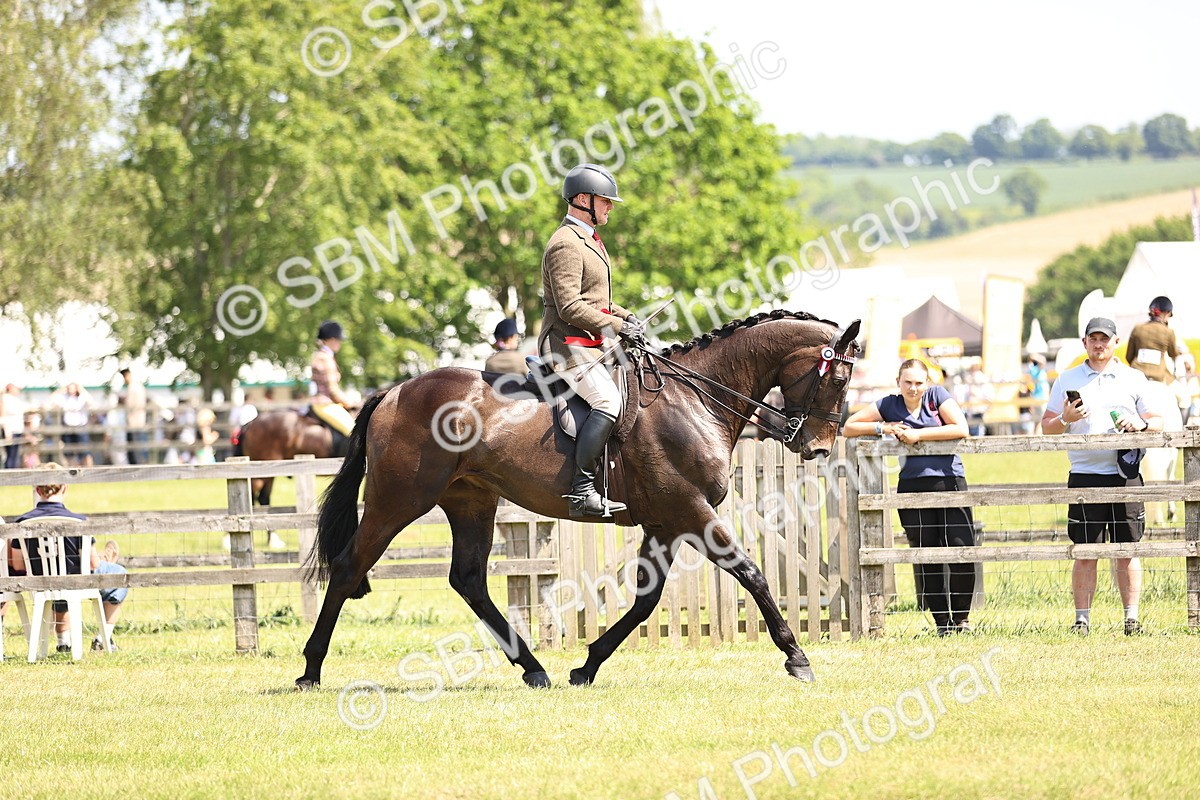 SBM_15009 - Class 78 - LIHS BSHA Open Racehorse & Show Horse