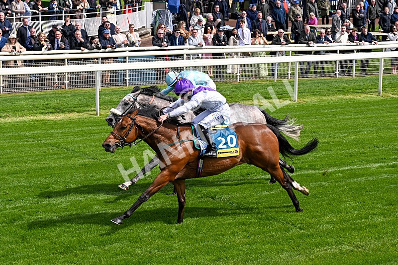 130526-Race 3-Dark Thirty-0183 - Race 3 2.55pm Churchill Tyres Handicap