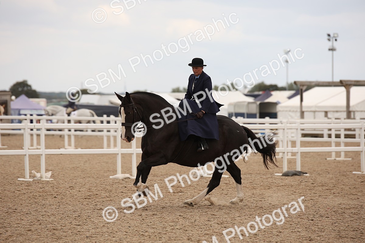 SBM_05465 - Class 22 SSA Equitation