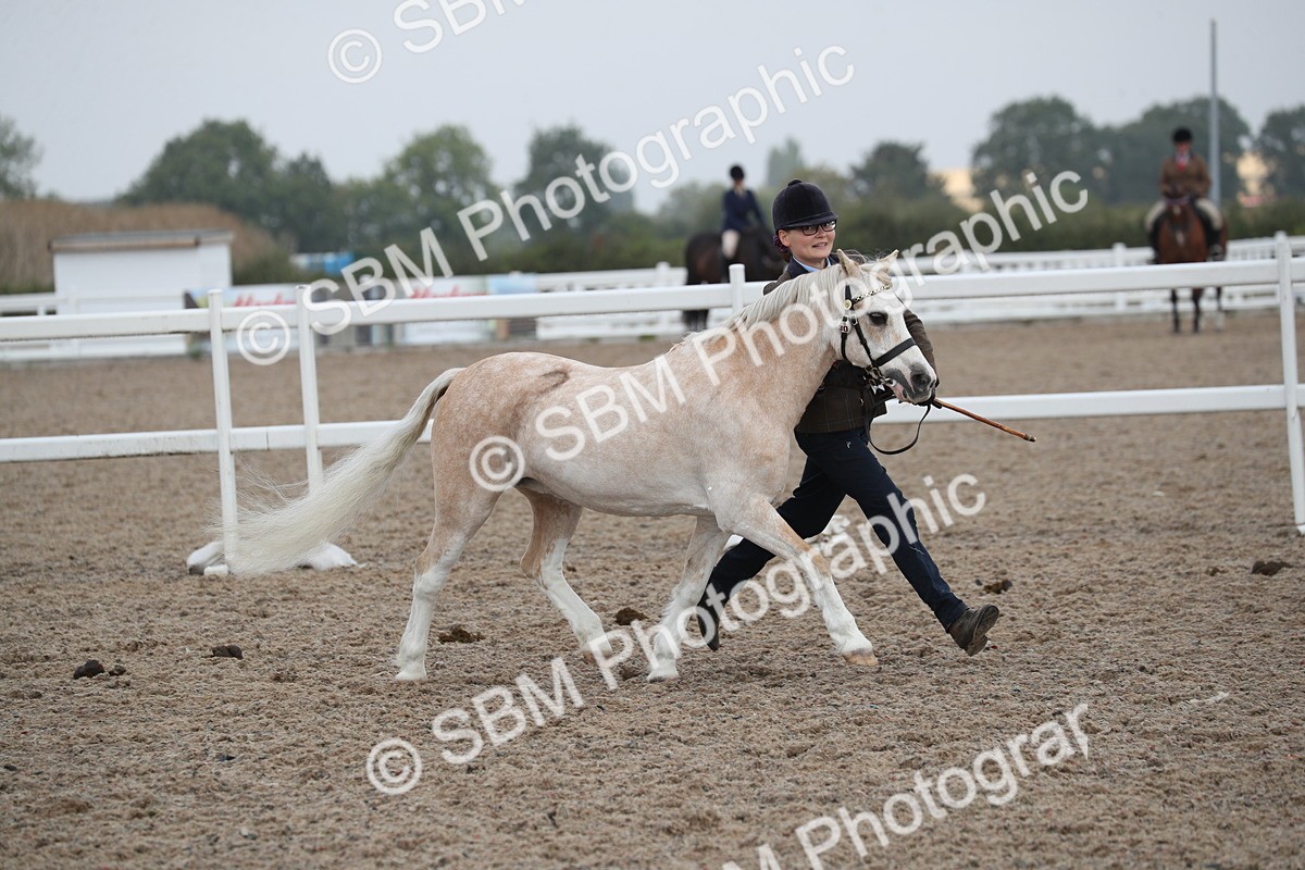 SBM_22601 - Class 604 - 2025 Area - IH Diamond