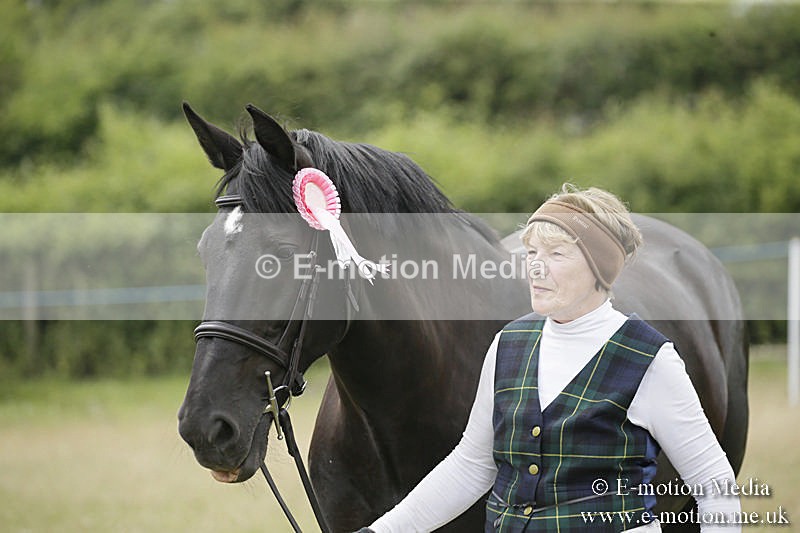 B230619-0597 - Bourne Valley Riding Club Summer Show 23/06/19