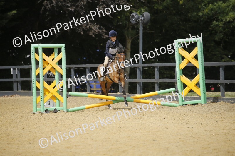 20250622-3949 - 50cm