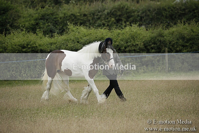 B230619-0074 - Bourne Valley Riding Club Summer Show 23/06/19