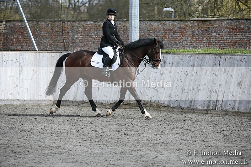 BVRC SJ 170319 346 - Bourne Valley Riding Club Showjumping 17/03/19