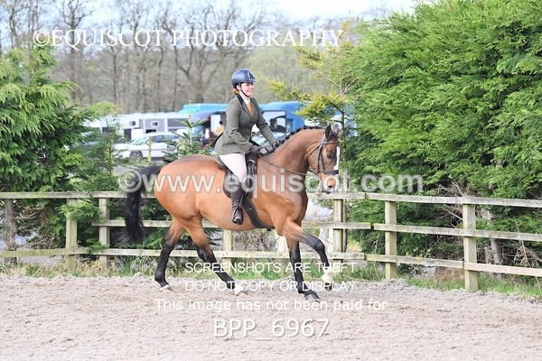 BPP_6967 - RING 1  (RIDDEN HORSES / IN HAND / VETERAN ETC)