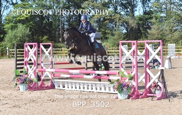 BPP_3502 - CLASS 2 Club/ Unaffiliated 80cms Open