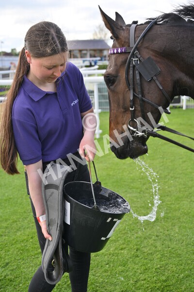 yr12052022r6-41 - Race 6 4.45pm Frank Whittle Partnership EBFstallions.com Maiden Stakes