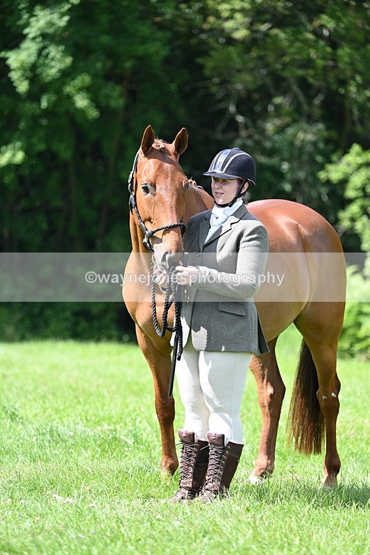 WJ7_1481 - Class 11 Condition & Turnout