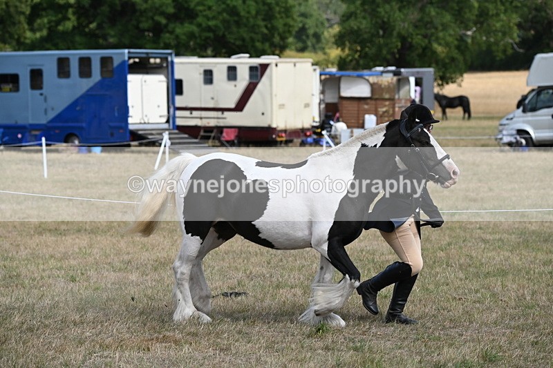 WJ6_6488 - Class 20 In-hand Cob