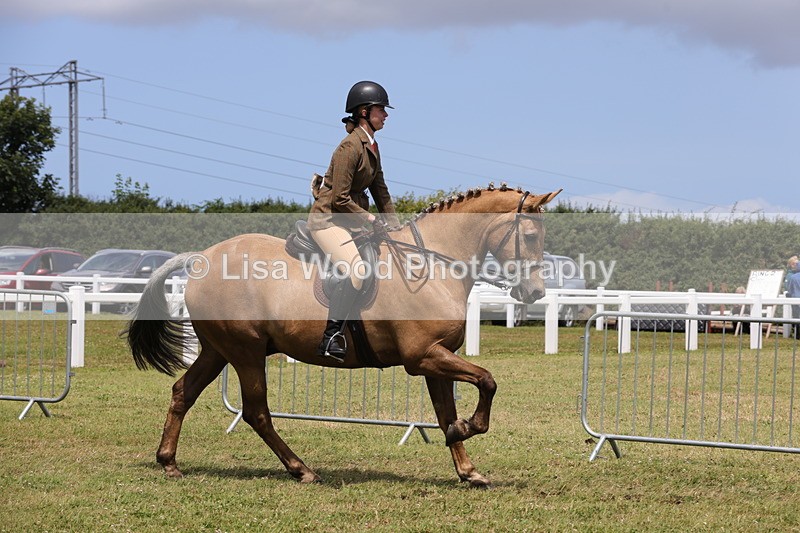 1X9A4377 - Class 34: Veteran Ridden