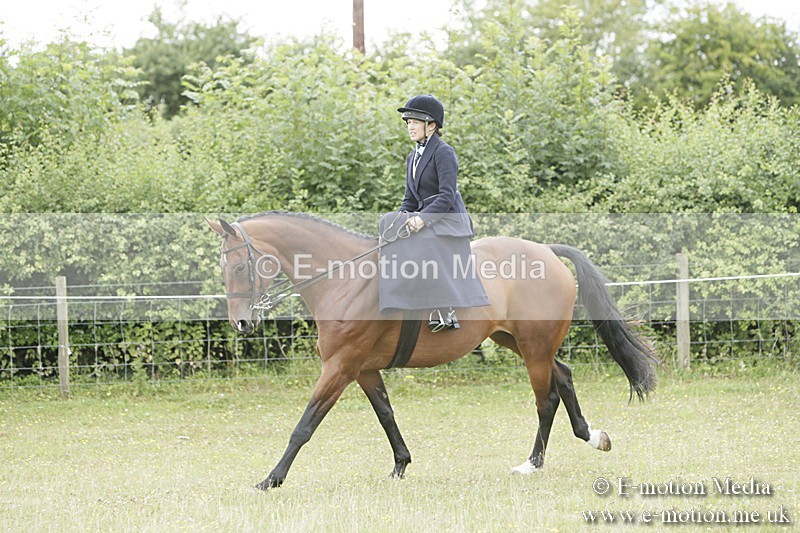 BVR160717-2377 - Side Saddle Classes 16/07/17