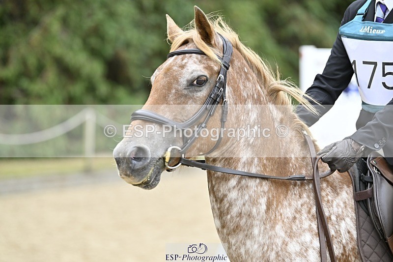 250820A-113402-03711 - Round 1, 11am to End