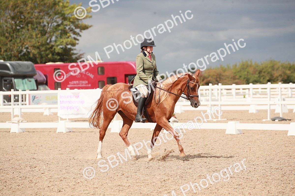 SBM_05987 - Class 32 - Novice 1