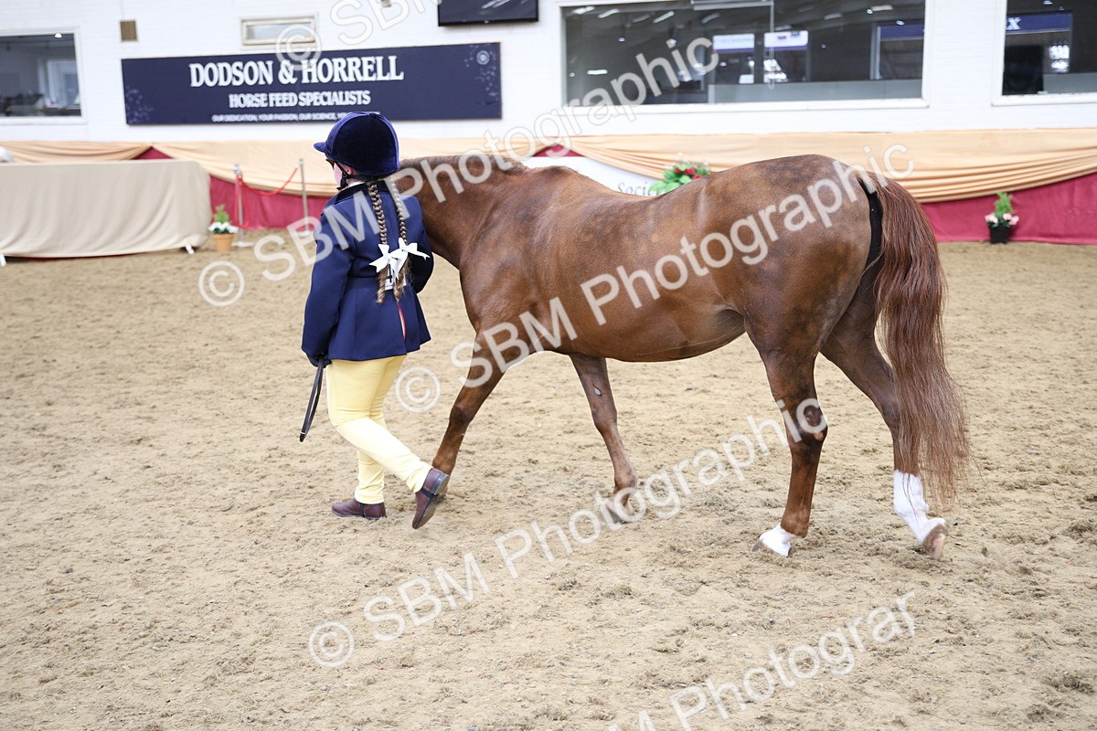 SBM_23429 - Class 904 - Supreme Final Ridden Diamond