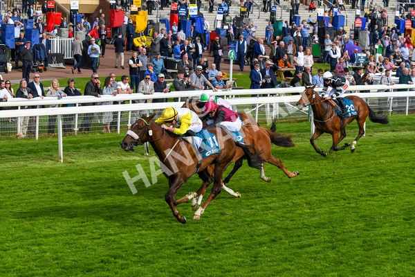 170523-Race 7-Kihavah-0965 - Race 7 5.15pm Stuey Weston & Friends Getting Out Handicap
