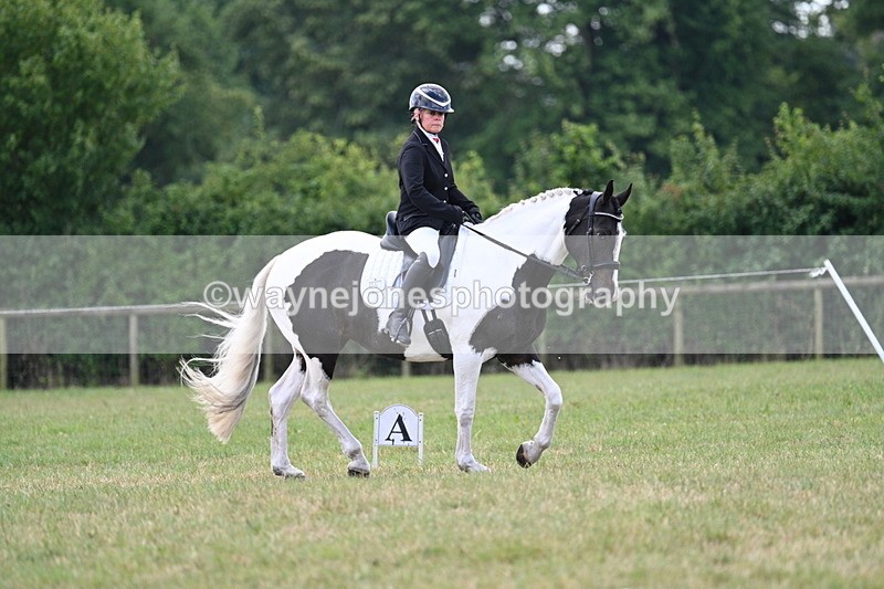 WJ7_5228 - Time 11:22 to 11:51