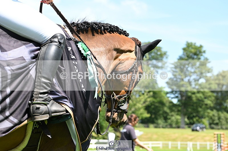 250614A-141118-07079 - Cls 20 Foxhunter