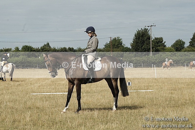 _PJP5678 - Dressage Classes BVRC Show 2018